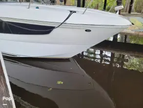 Thumbnail von Sea Ray 330 Sundancer