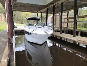 Thumbnail von Sea Ray 330 Sundancer