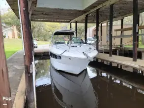 Thumbnail von Sea Ray 330 Sundancer