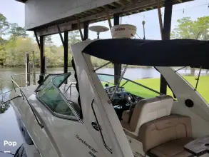 Thumbnail von Sea Ray 330 Sundancer