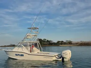 Thumbnail von Ocean Master 31 EXPRESS SPORT CABIN