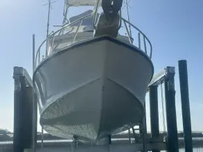 Thumbnail von Ocean Master 31 EXPRESS SPORT CABIN