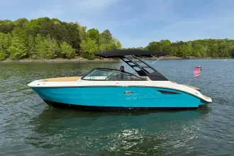 Sea Ray SDX 250