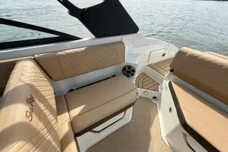 Thumbnail von Sea Ray SDX 250