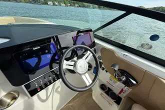 Thumbnail von Sea Ray SDX 250