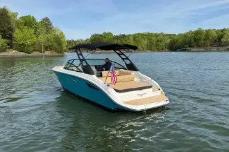 Thumbnail von Sea Ray SDX 250