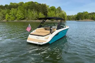 Thumbnail von Sea Ray SDX 250