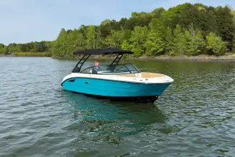 Thumbnail von Sea Ray SDX 250