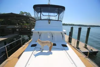 Thumbnail von Beneteau Swift Trawler 42 Gracie May