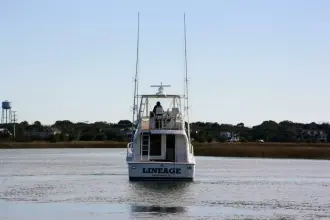 Thumbnail von Bertram 390 Convertible Lineage