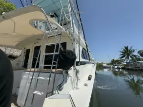 Thumbnail von Bertram 46 Convertible LAID BACK