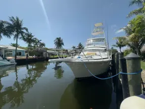 Thumbnail von Bertram 46 Convertible LAID BACK