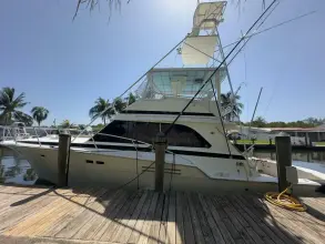 Thumbnail von Bertram 46 Convertible LAID BACK