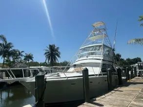 Thumbnail von Bertram 46 Convertible LAID BACK