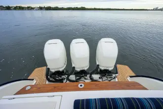 Thumbnail von Hinckley Sport Boat 40X Renie Vee