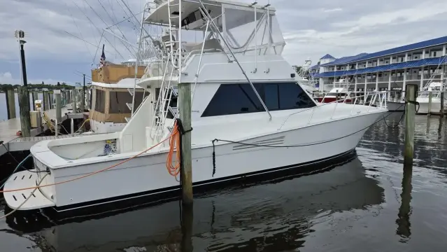 Viking 45 Convertible Wild Life