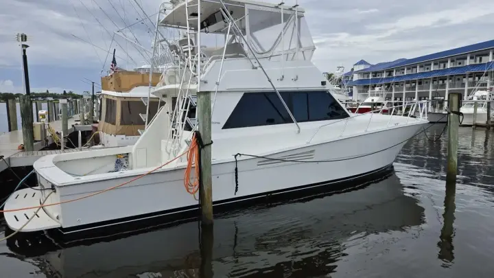 Viking 45 Convertible Wild Life