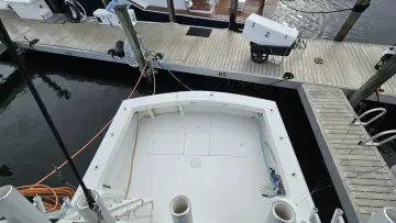 Thumbnail von Viking 45 Convertible Wild Life