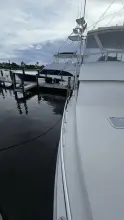 Thumbnail von Viking 45 Convertible Wild Life