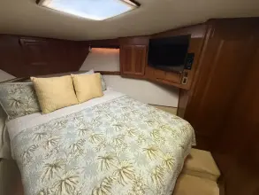 Thumbnail von Viking 45 Convertible Wild Life