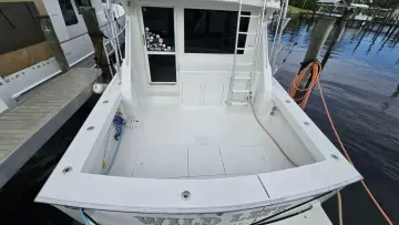 Thumbnail von Viking 45 Convertible Wild Life