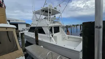 Thumbnail von Viking 45 Convertible Wild Life