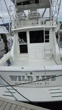 Thumbnail von Viking 45 Convertible Wild Life