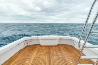 Thumbnail von Viking 46 Bill Fish 2026 Viking 46 BF