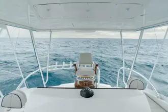 Thumbnail von Viking 46 Bill Fish 2026 Viking 46 BF
