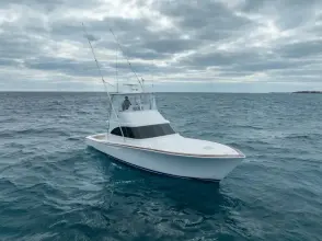 Thumbnail von Viking 46 Bill Fish 2026 Viking 46 BF