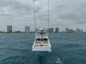 Thumbnail von Viking 46 Bill Fish 2026 Viking 46 BF
