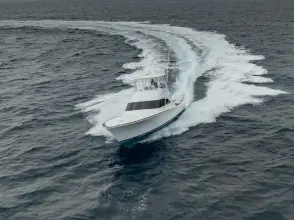 Thumbnail von Viking 46 Bill Fish 2026 Viking 46 BF
