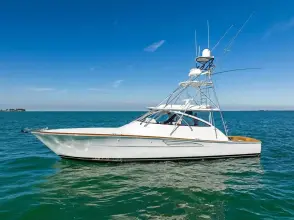 Thumbnail von Viking 54 Open 2026 Viking 54O