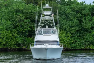 Thumbnail von Viking 56 Convertible MATTER OF TIME