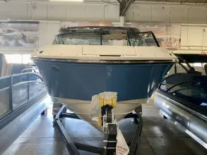Sea Ray SDX 230