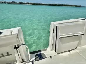 Thumbnail von Boston Whaler 330 Outrage