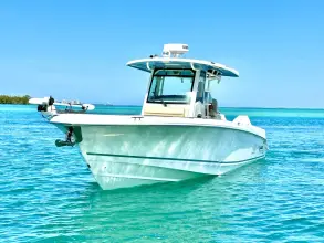 Thumbnail von Boston Whaler 330 Outrage