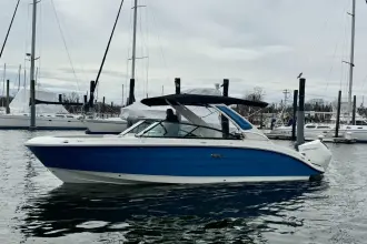 Sea Ray SDX 250 Outboard