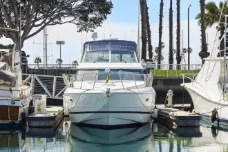 Thumbnail von Cruisers Yachts 447 Sedan