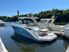 Thumbnail von Sea Ray Sundancer 320