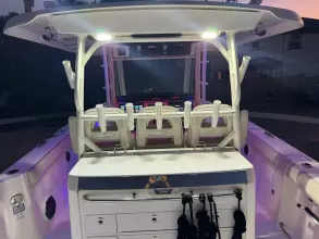 Thumbnail von Boston Whaler 350 Outrage