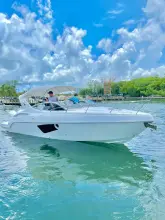 Thumbnail von Schaefer 303 Sport