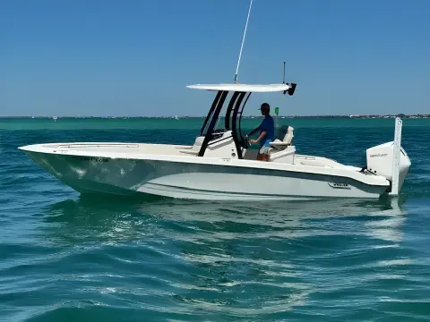 Boston Whaler 250 Dauntless