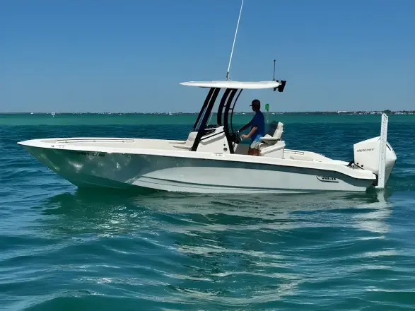 Boston Whaler 250 Dauntless