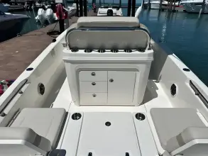 Thumbnail von Boston Whaler 250 Dauntless