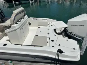 Thumbnail von Boston Whaler 250 Dauntless