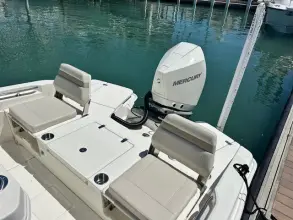 Thumbnail von Boston Whaler 250 Dauntless