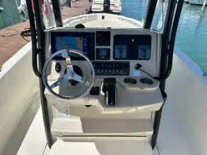 Thumbnail von Boston Whaler 250 Dauntless