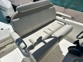 Thumbnail von Boston Whaler 250 Dauntless
