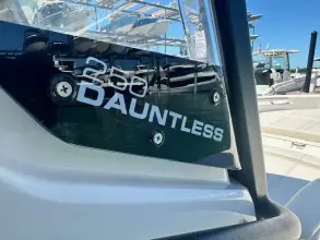 Thumbnail von Boston Whaler 250 Dauntless